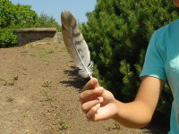 �g���r�̉H���E���B